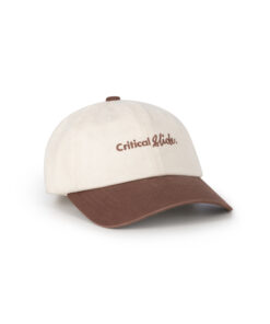 INSTITUTE DAD CAP - BROWN OS